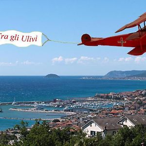 Tra Gli Ulivi